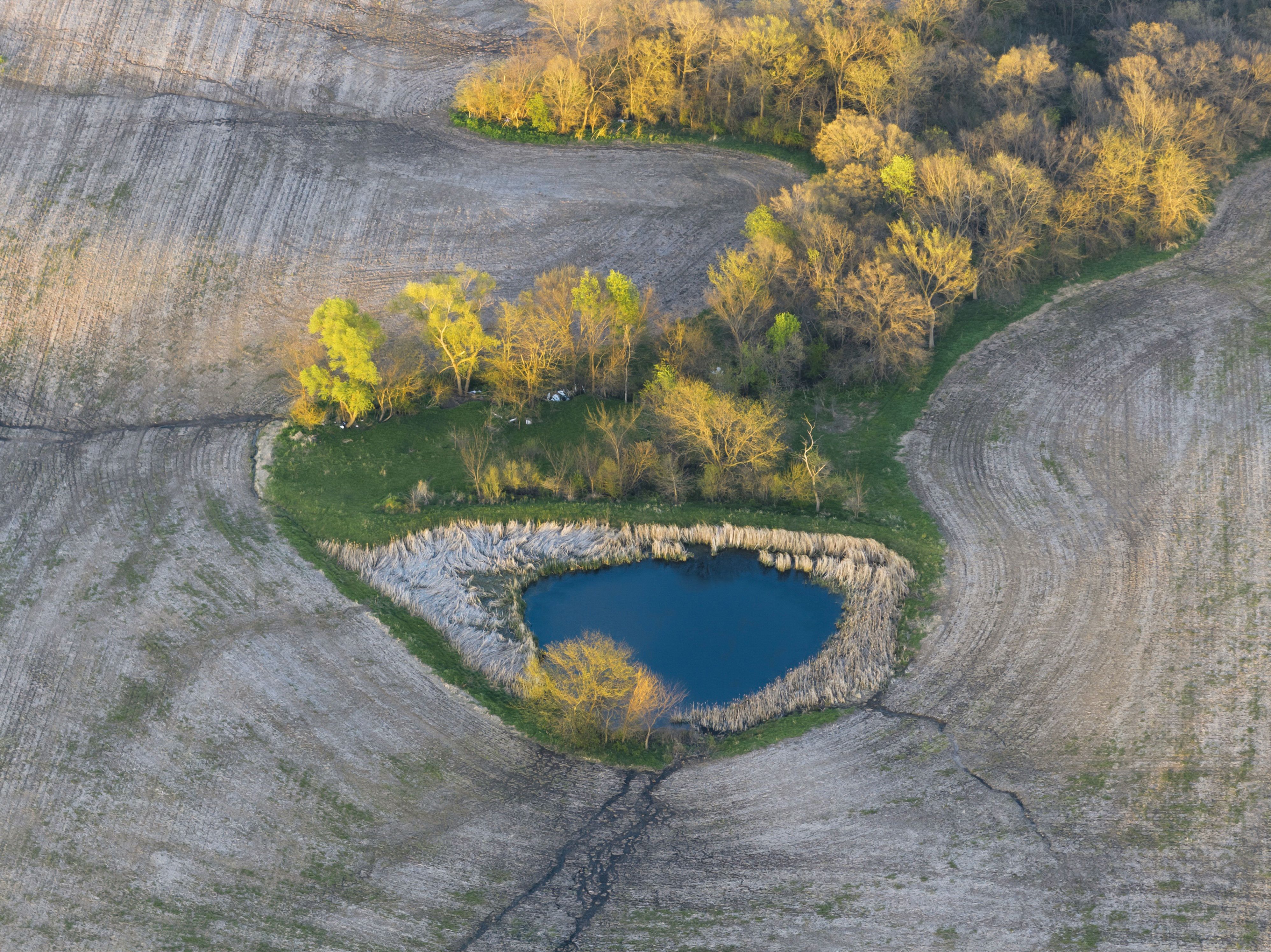 Listing Photo: Lovilia Land Drone-6